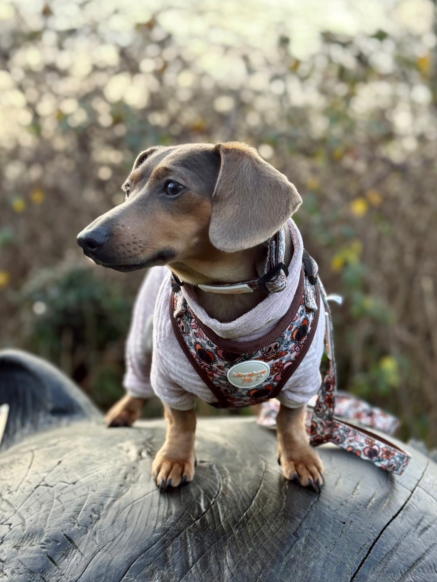 Boops & Blooms Adjustable Harness