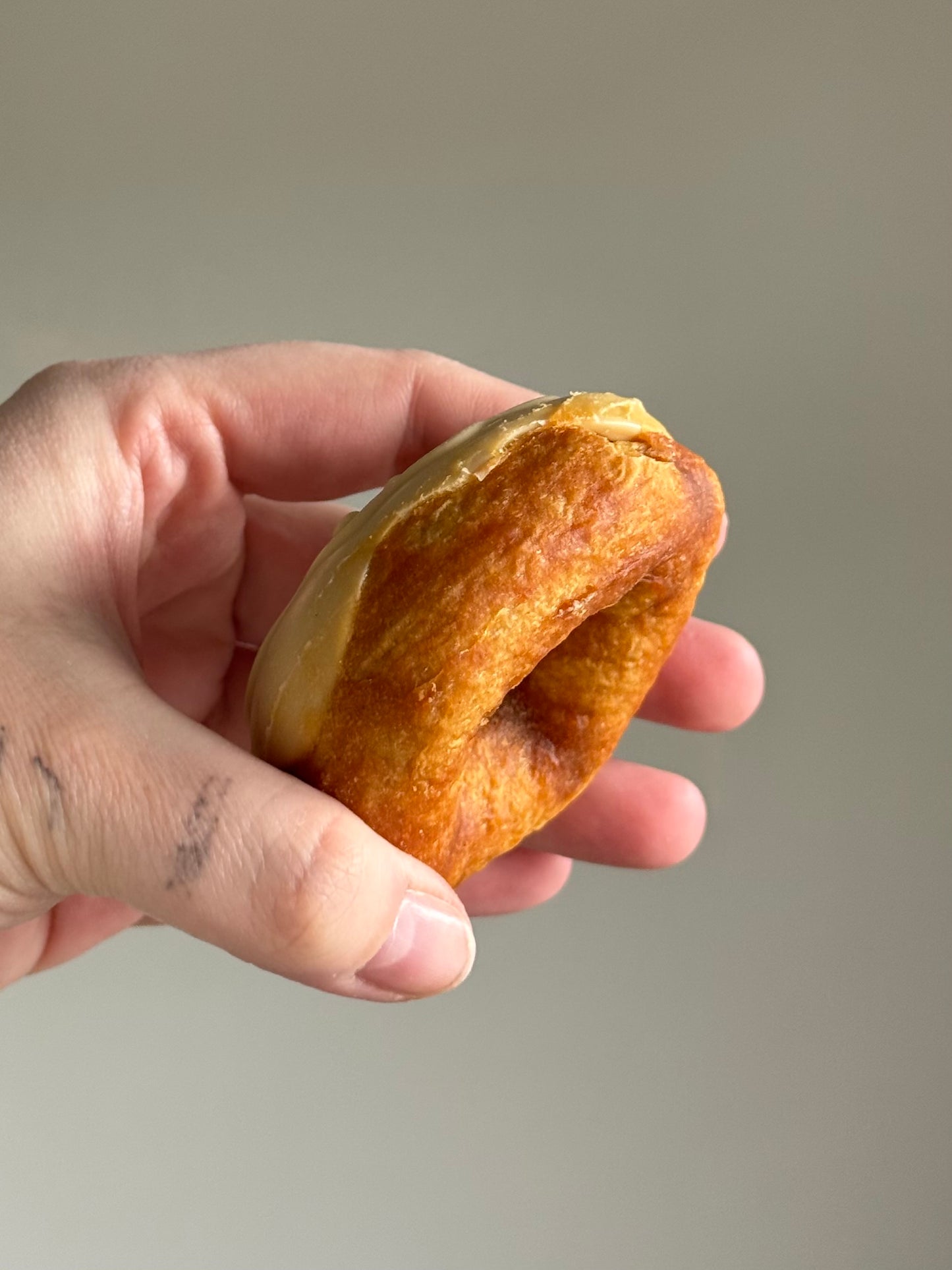 Chicken & Coconut Collagen Donut