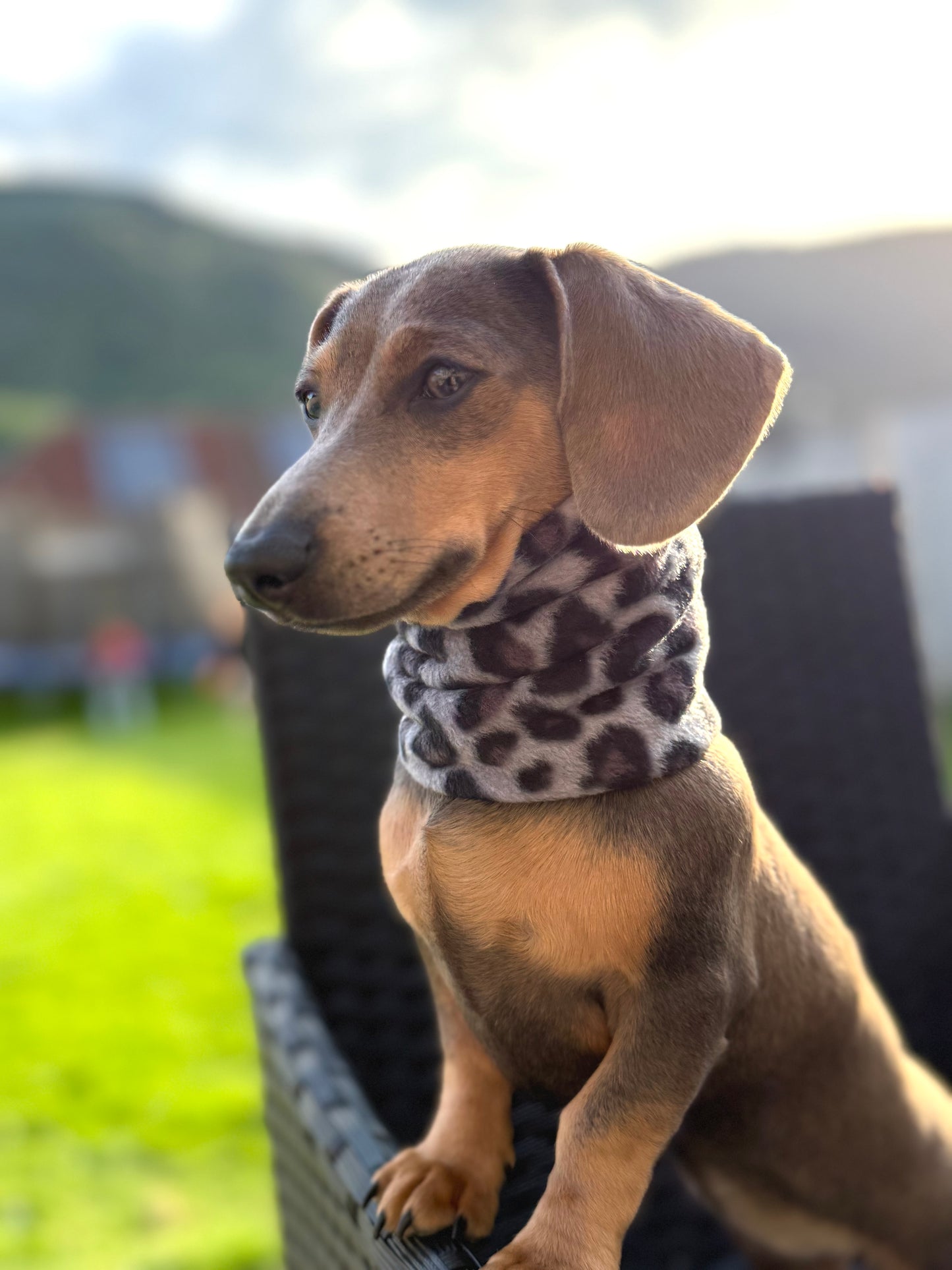 Custom Snow Leopard Snood