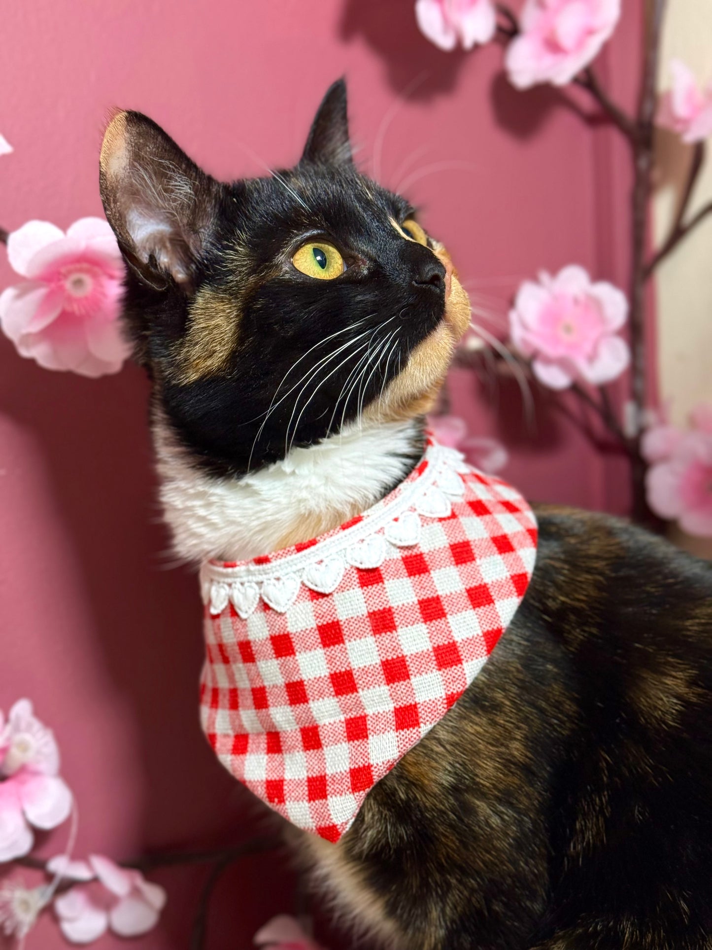 Summer Love Bandana