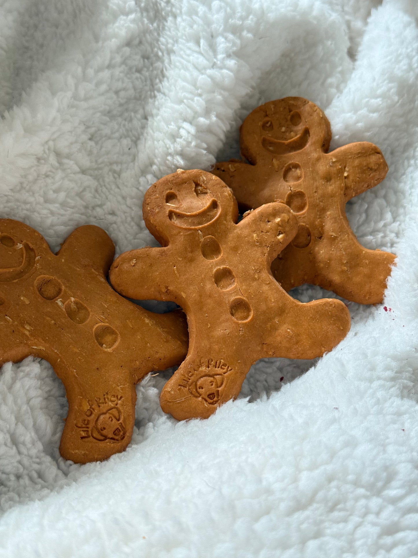 Large Gingerbread Man Biscuit