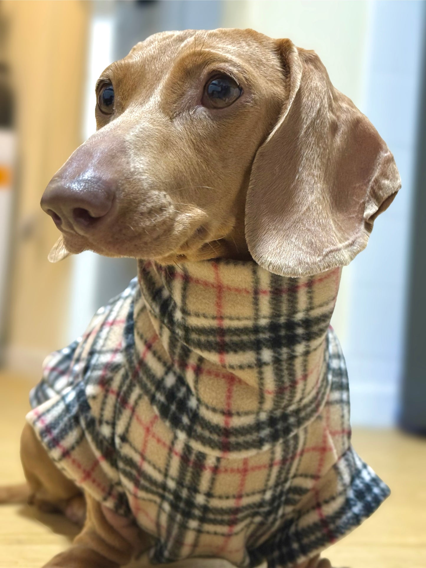 Custom Small Breed Beige Tartan Fleece