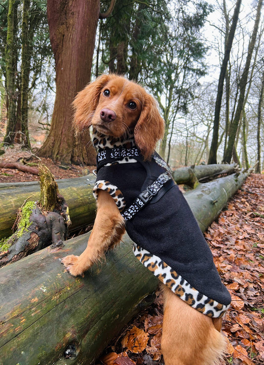 Custom Two Tone Small Breed Fleece