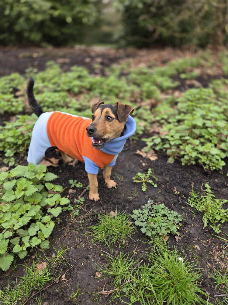 Custom Small Breed Jumpsuit