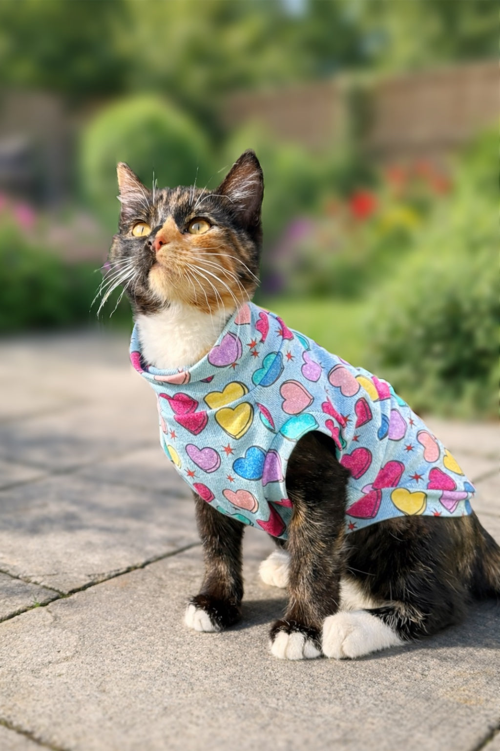 Small Breed Spring Love Tee