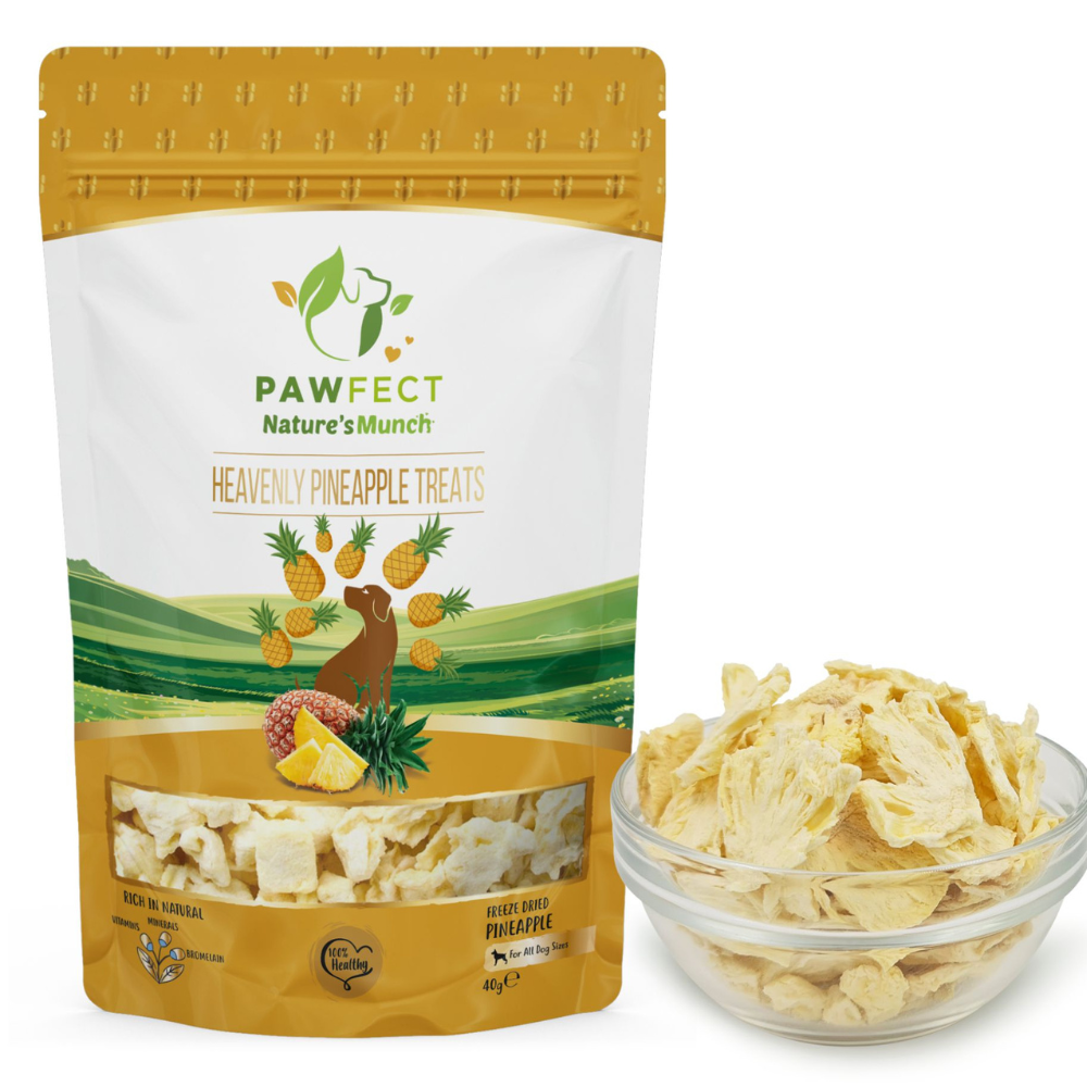Pawfect Single Ingredient Vegan Treats: Pineapple
