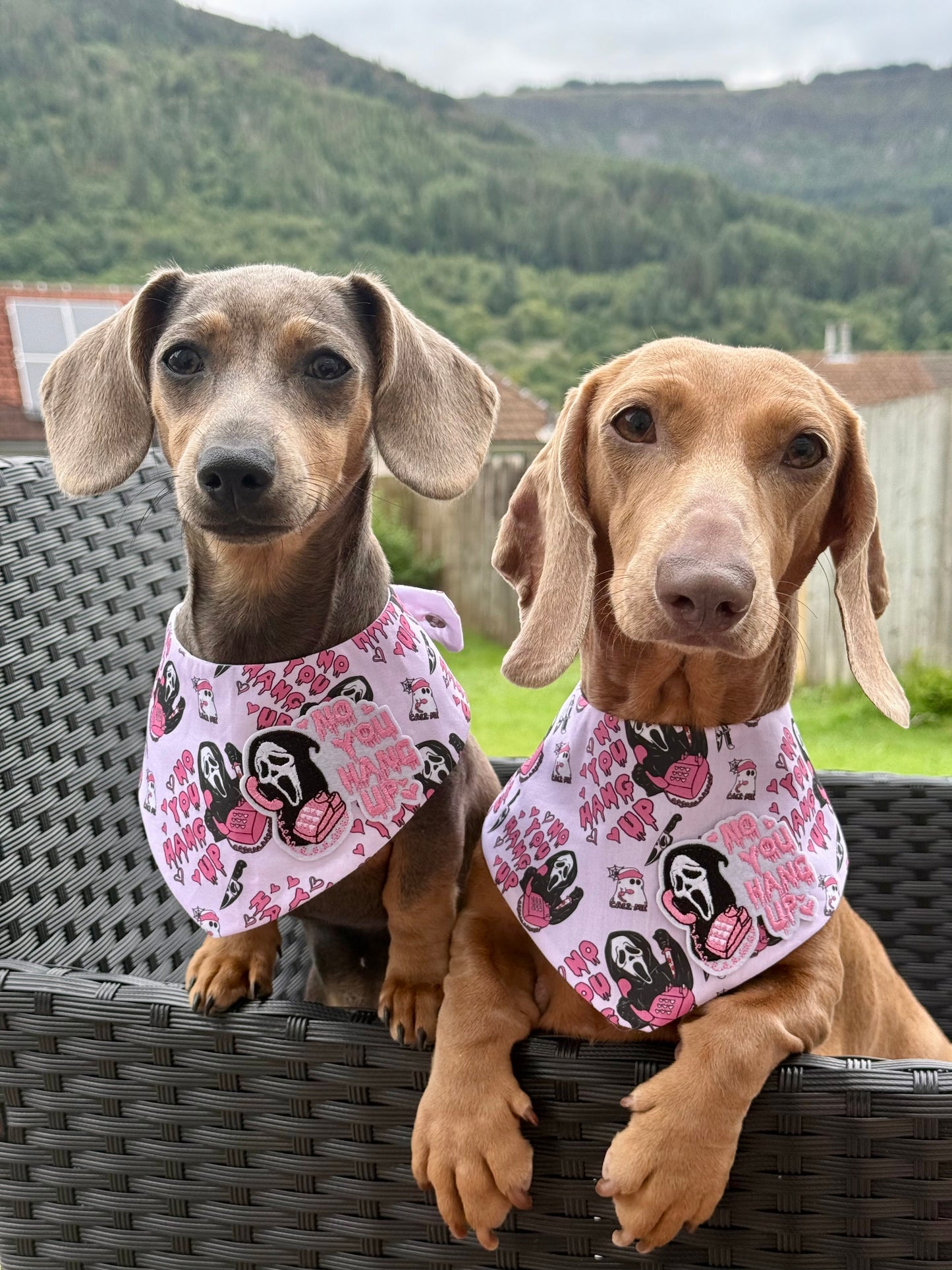 You’ve Been Ghosted NO PATCHES