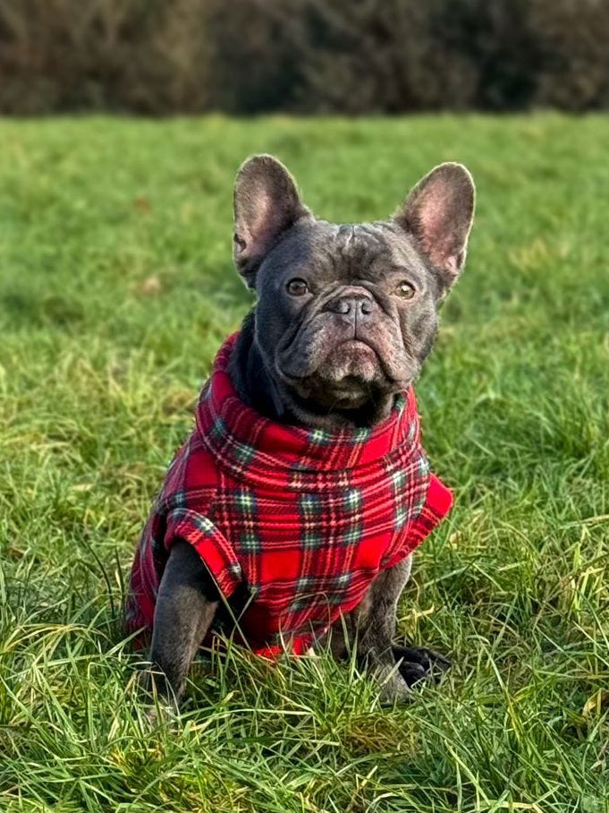 Custom Small Breed Red Tartan Fleece