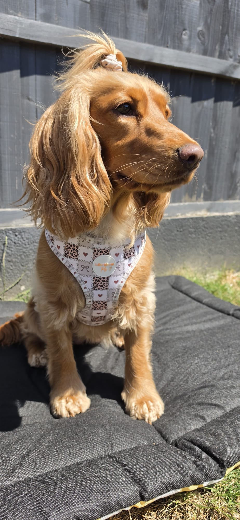 Love Me Wild Adjustable Harness