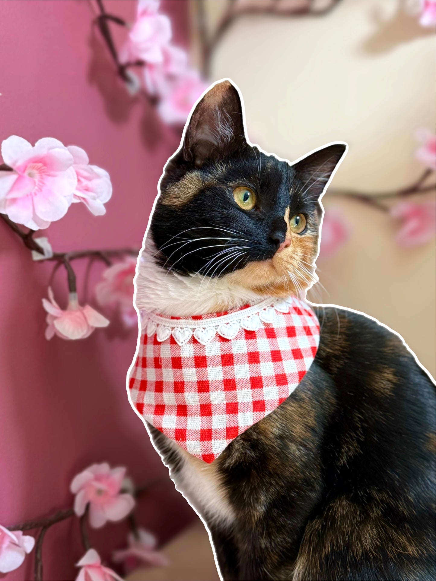 Summer Love Bandana
