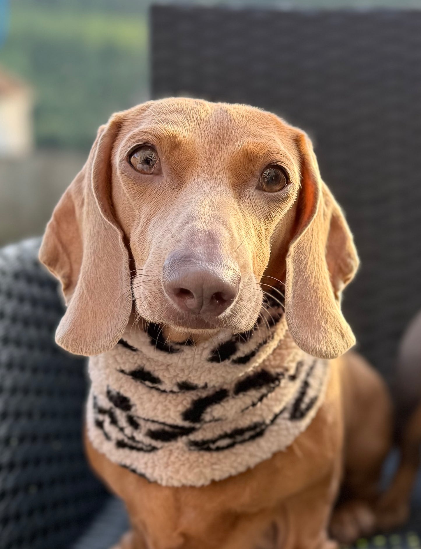 Custom Chic Leopard Sherpa Snood LIMITED EDITION