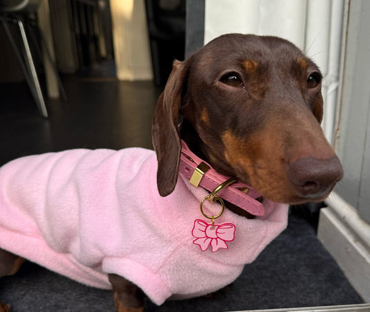 Dachshund/Small Breed Plain Crewneck Fleece