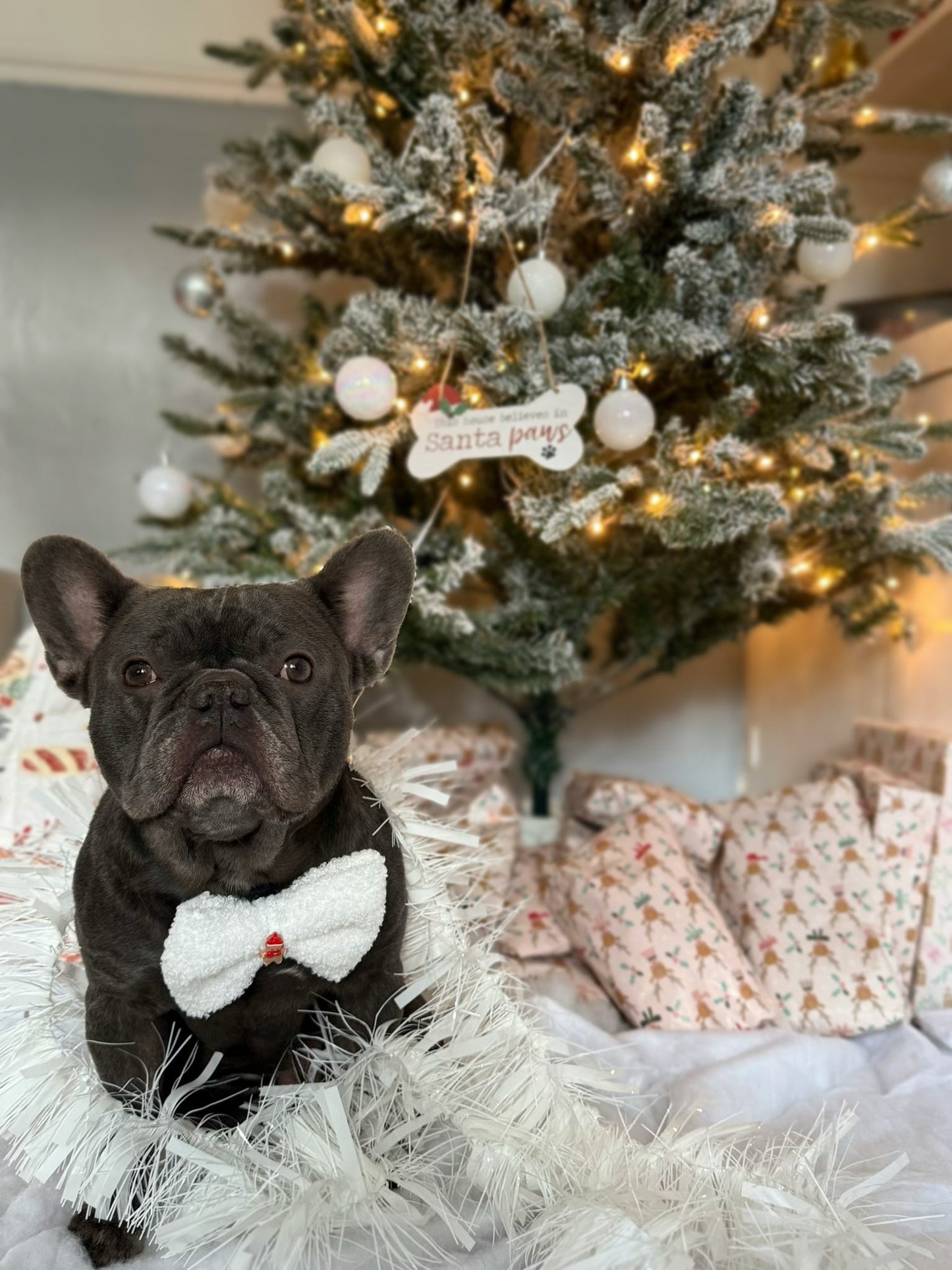 Teddy Gingerbread Man