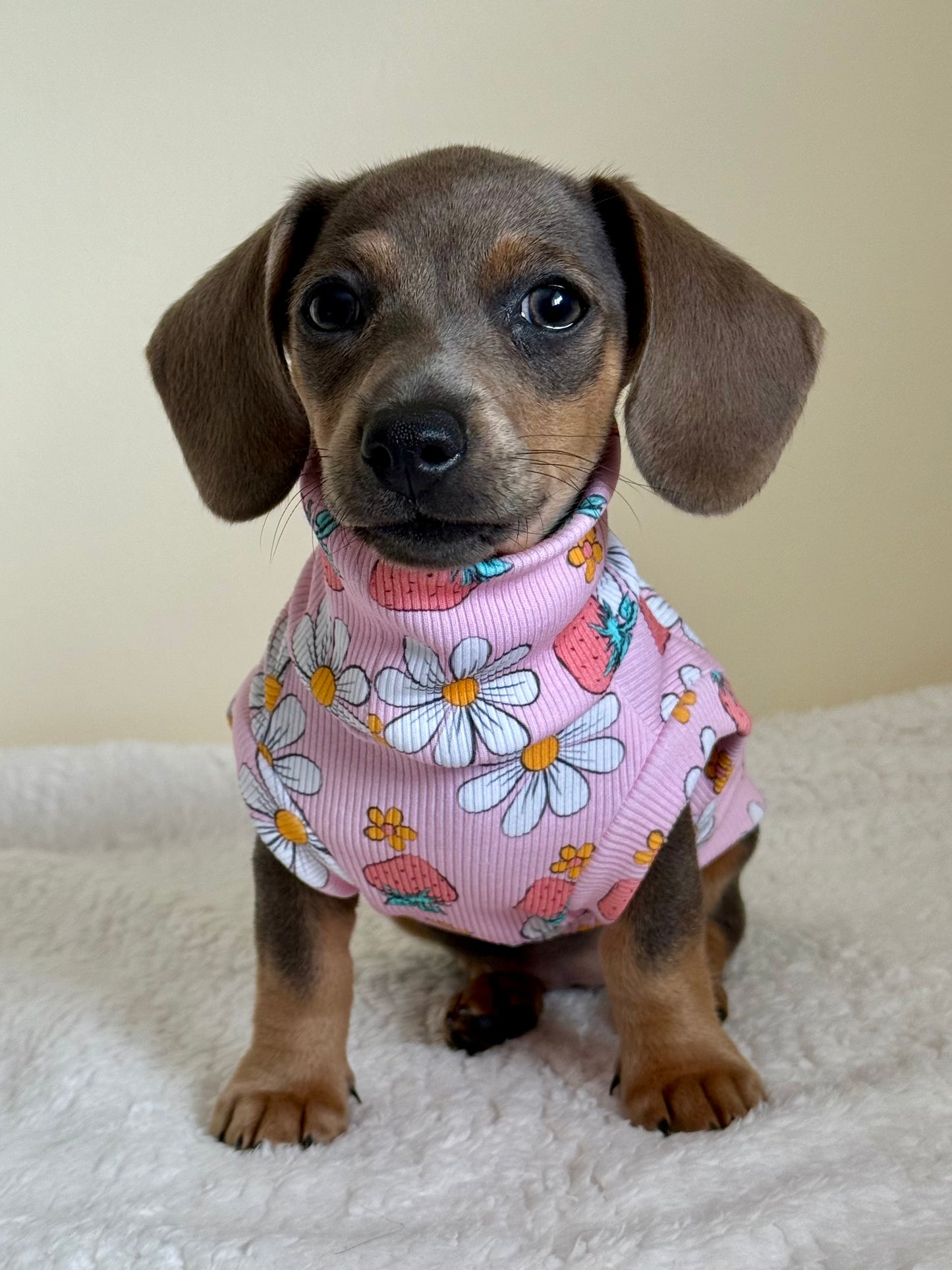 Custom Strawberries & Daisies Jersey Top