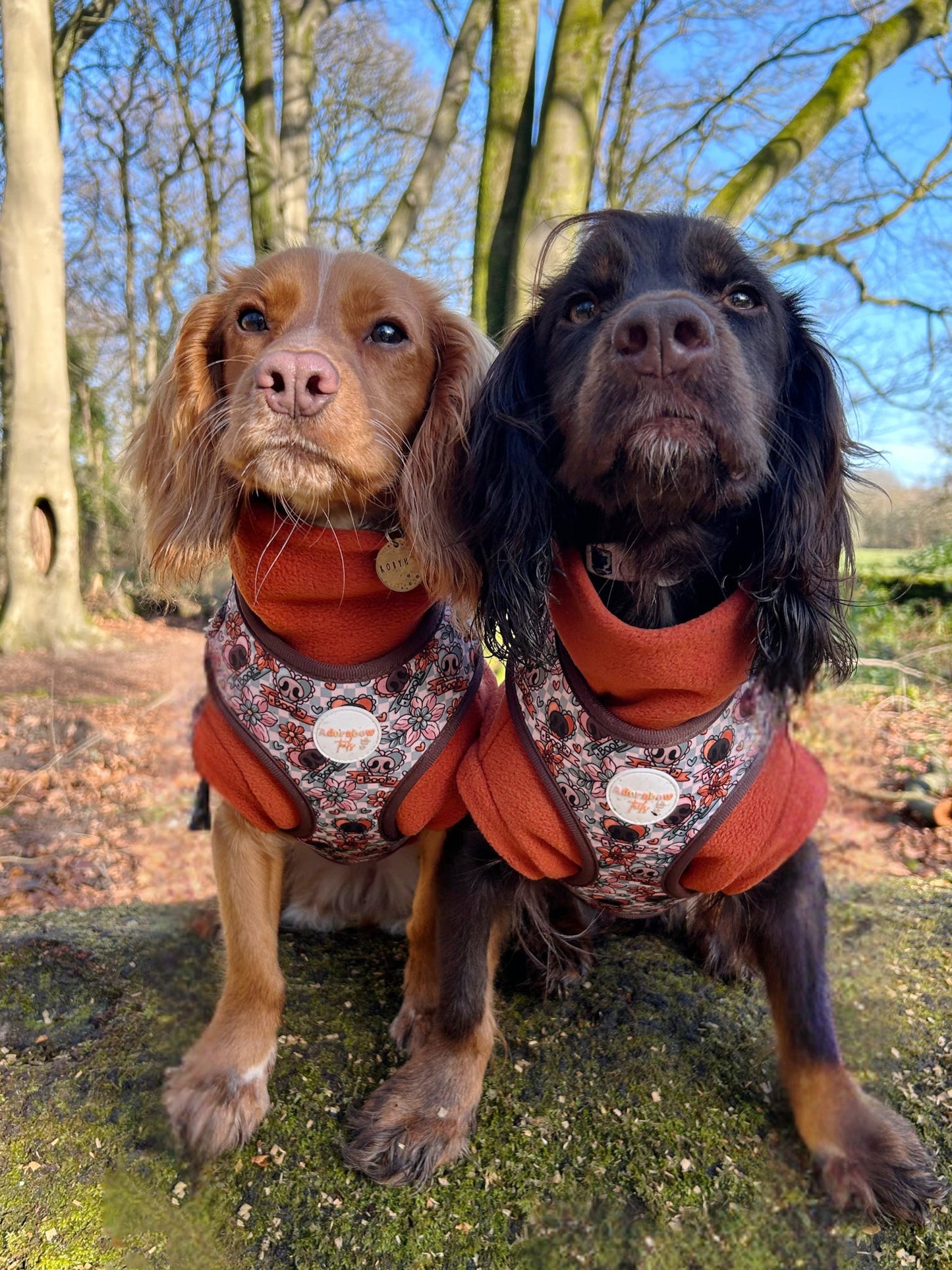 Boops & Blooms Adjustable Harness