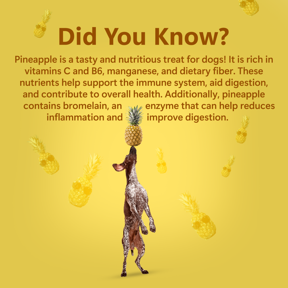 Pawfect Single Ingredient Vegan Treats: Pineapple