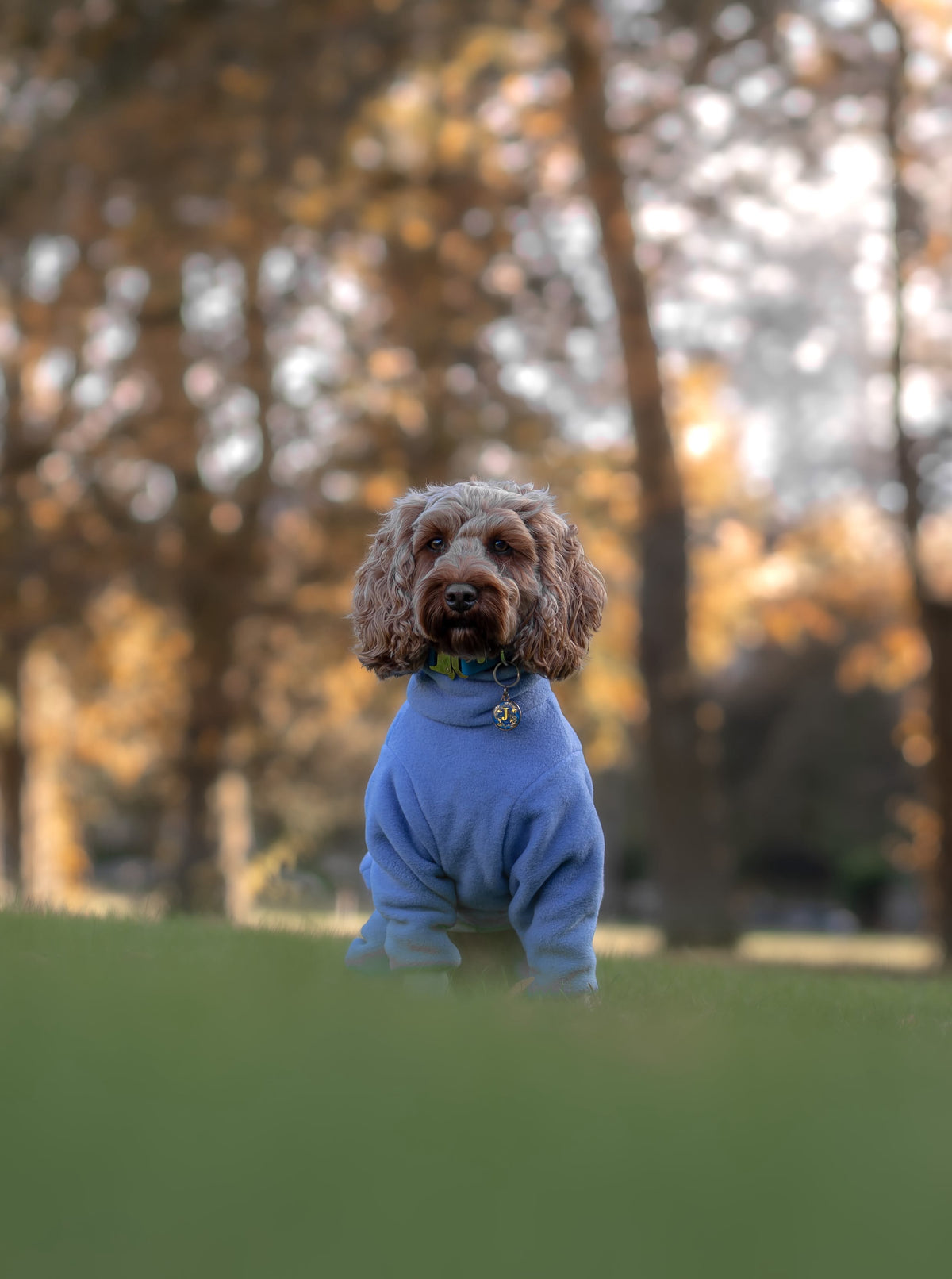 Custom Big Breed Jumpsuit