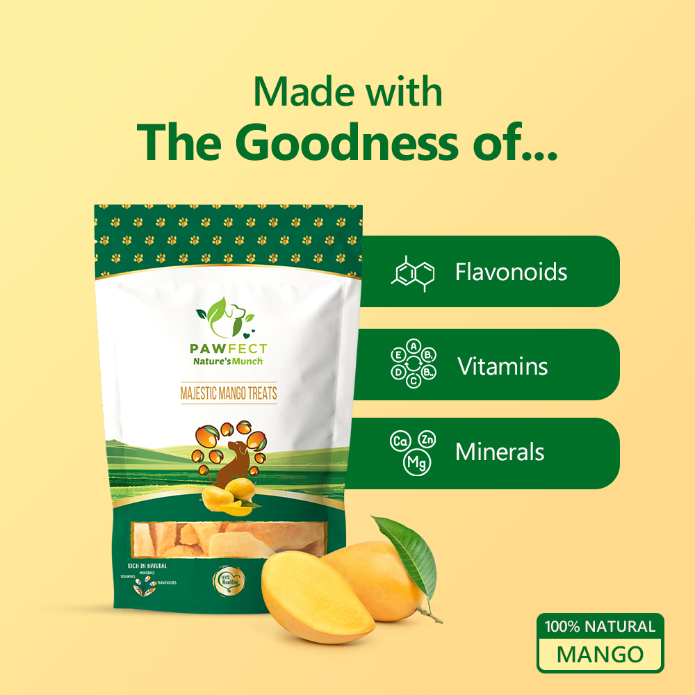 Pawfect Single Ingredient Vegan Treats: Mango