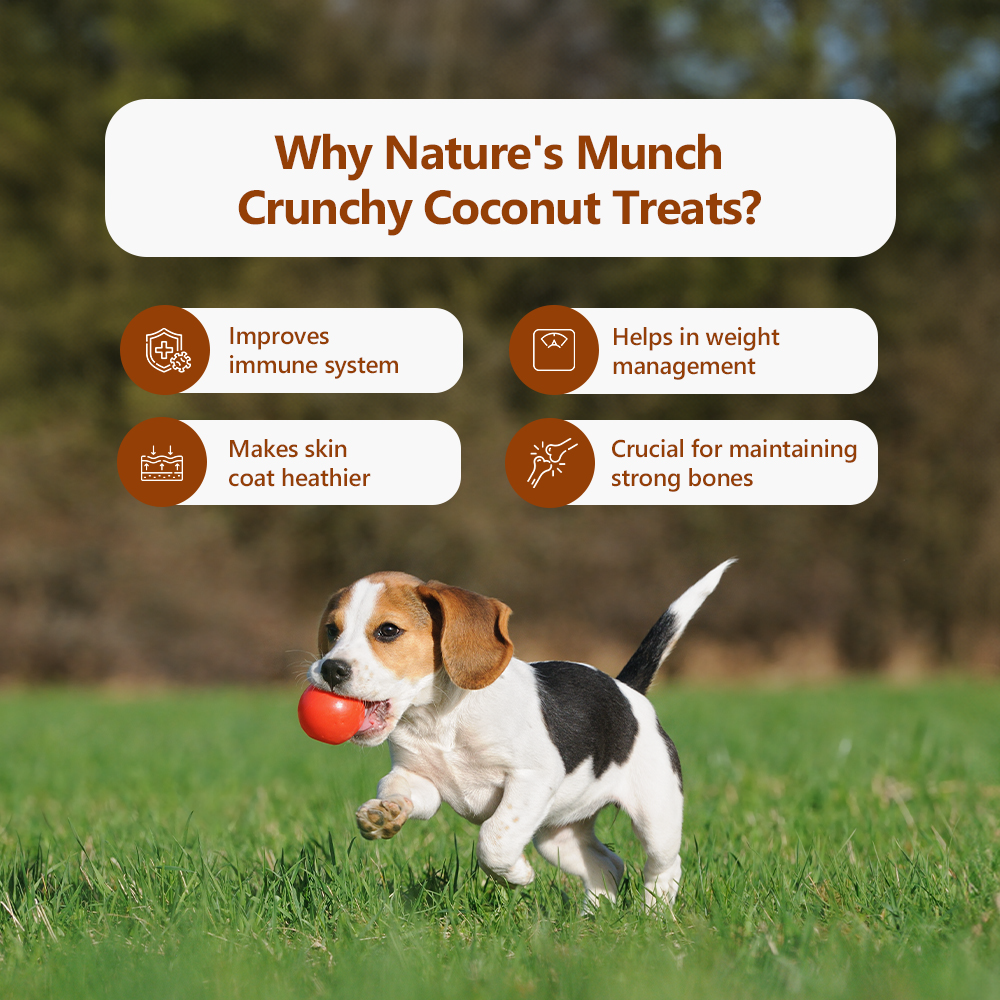 Pawfect Single Ingredient Vegan Treats: Coconut