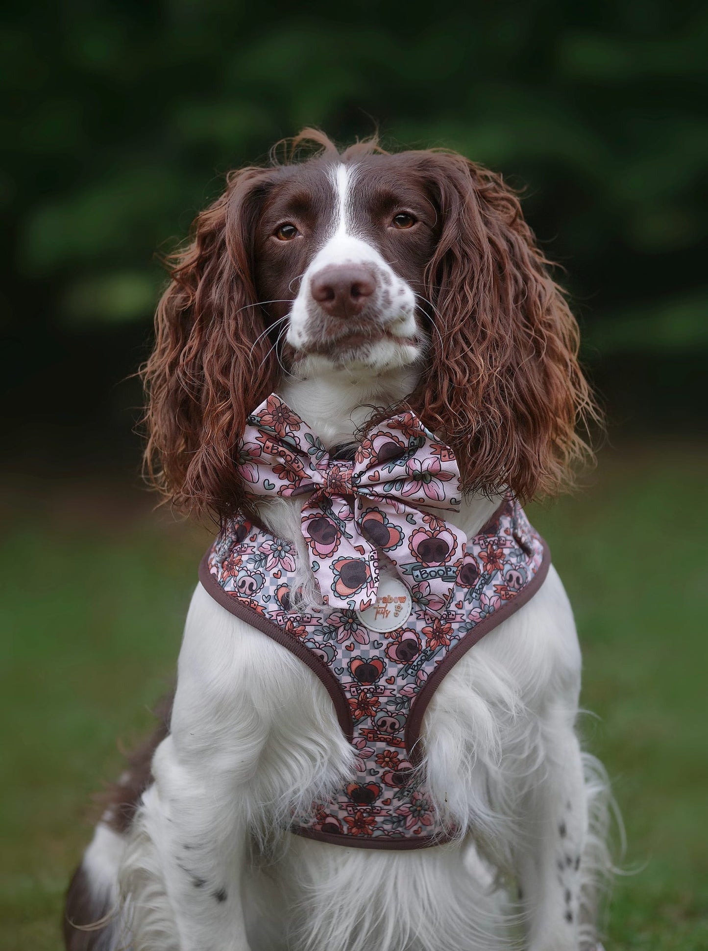 Boops & Blooms Adjustable Harness