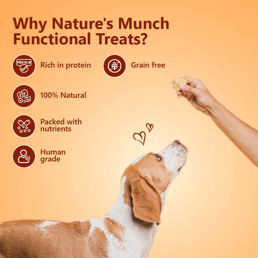 Pawfect Nature's Munch Functional Dog Treats: Daily Chomp