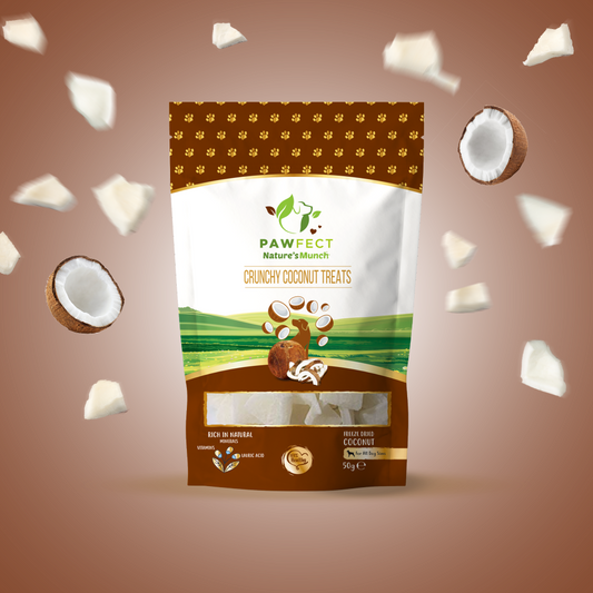 Pawfect Single Ingredient Vegan Treats: Coconut