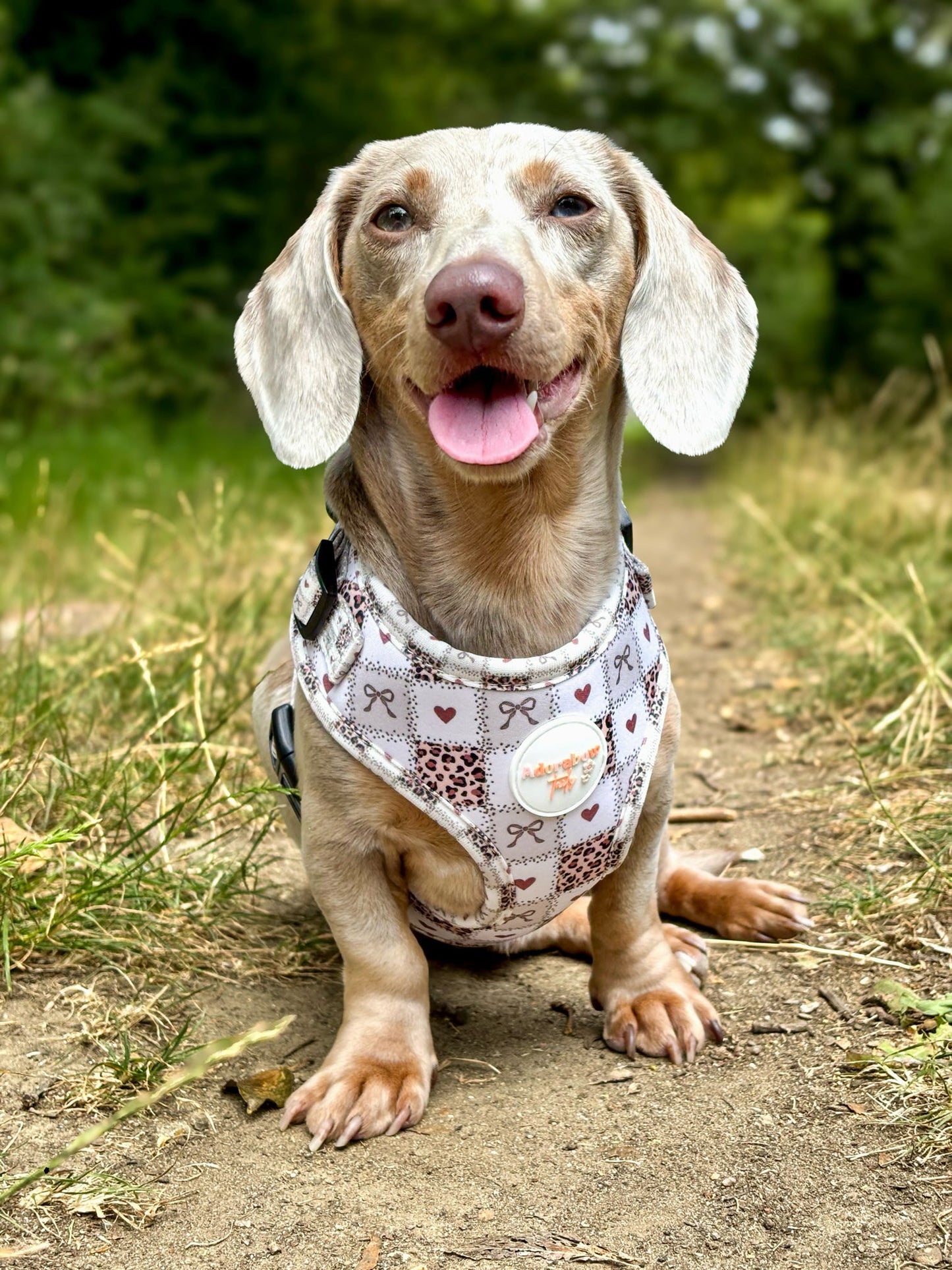 Love Me Wild Adjustable Harness