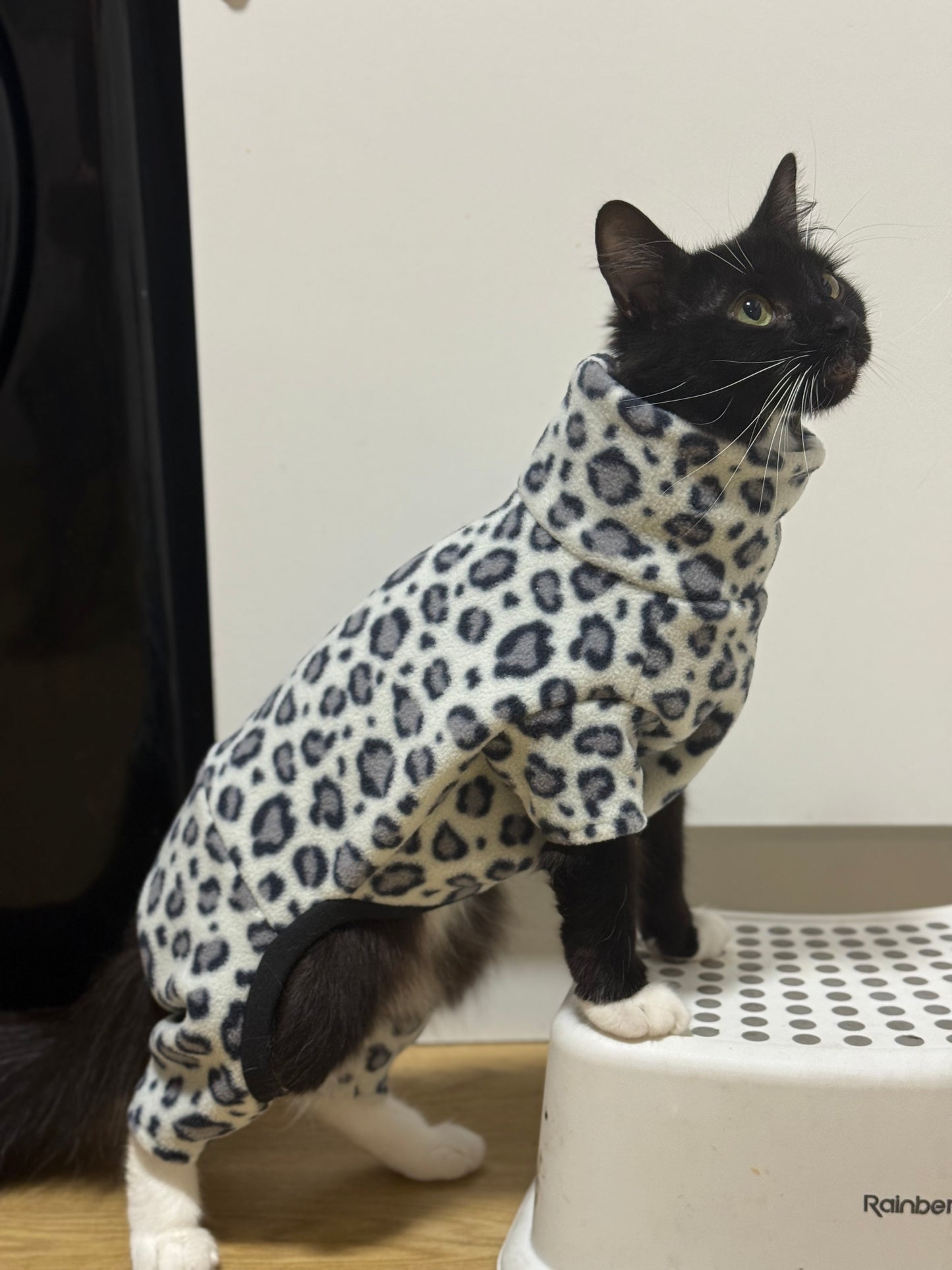 Custom Small Breed Jumpsuit Animal Print