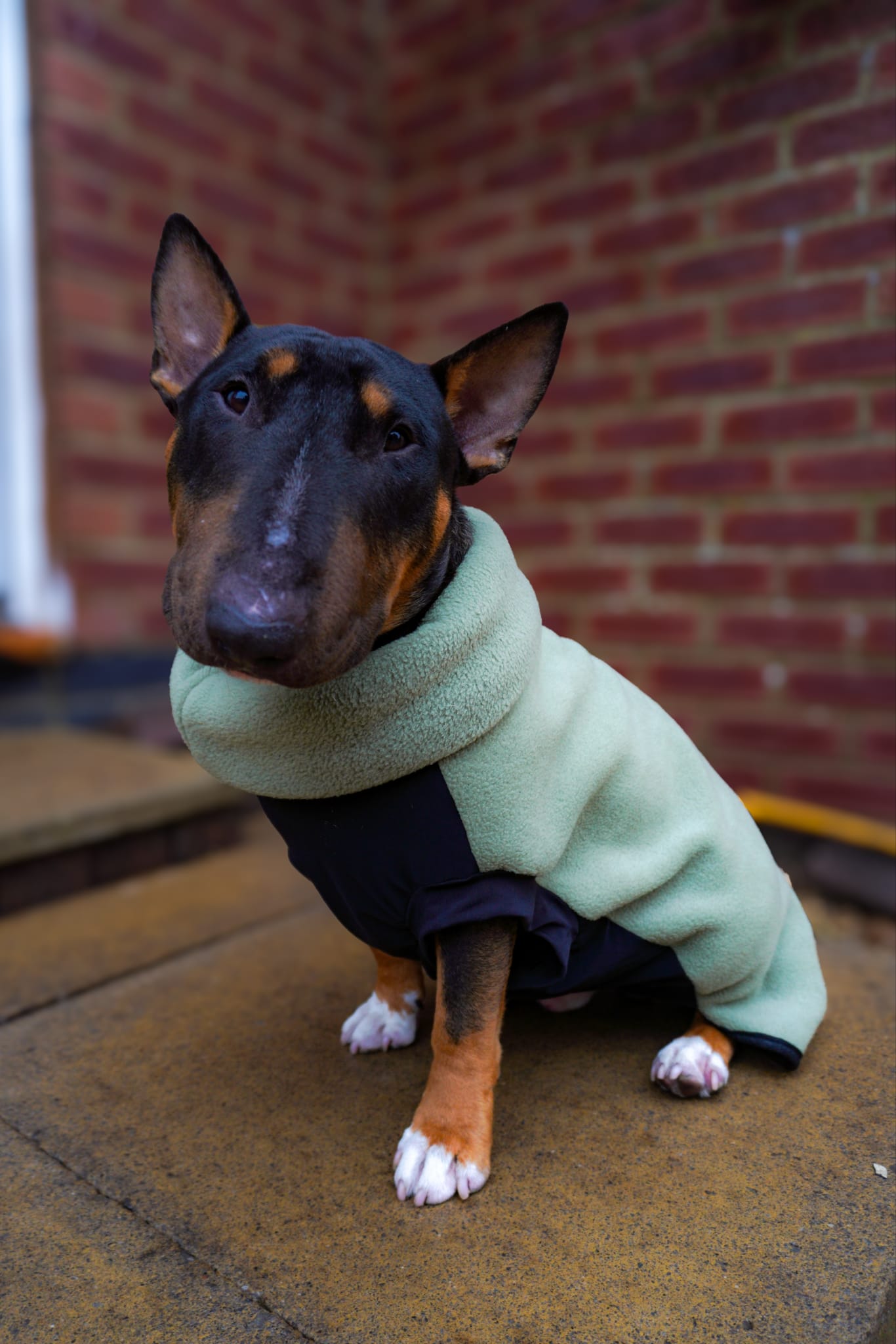 Custom Stretch & Snug Fleece