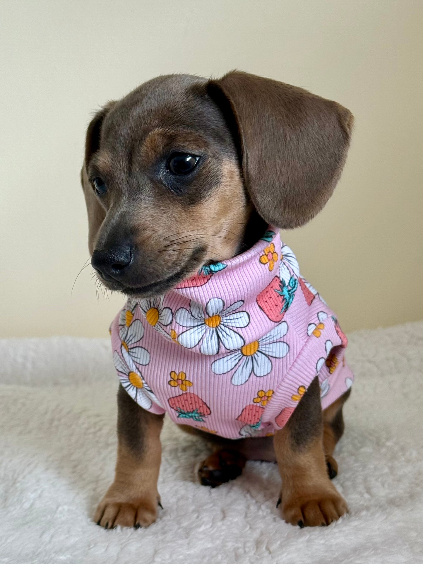 Custom Strawberries & Daisies Jersey Top
