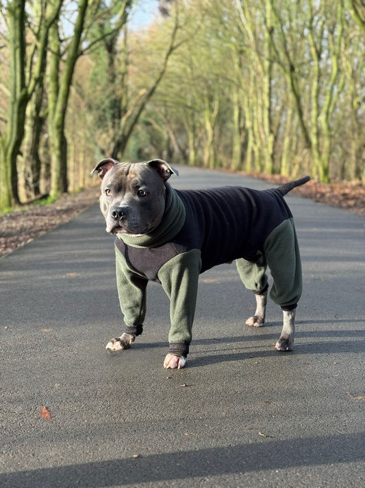 Custom Big Breed Jumpsuit