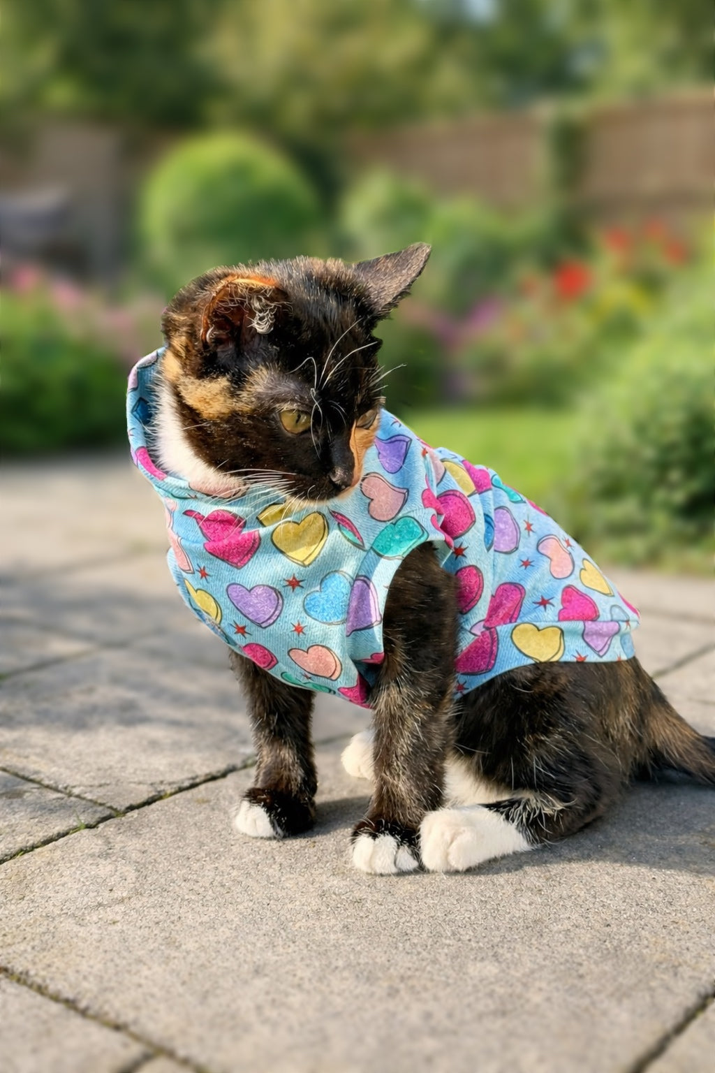 Small Breed Spring Love Tee