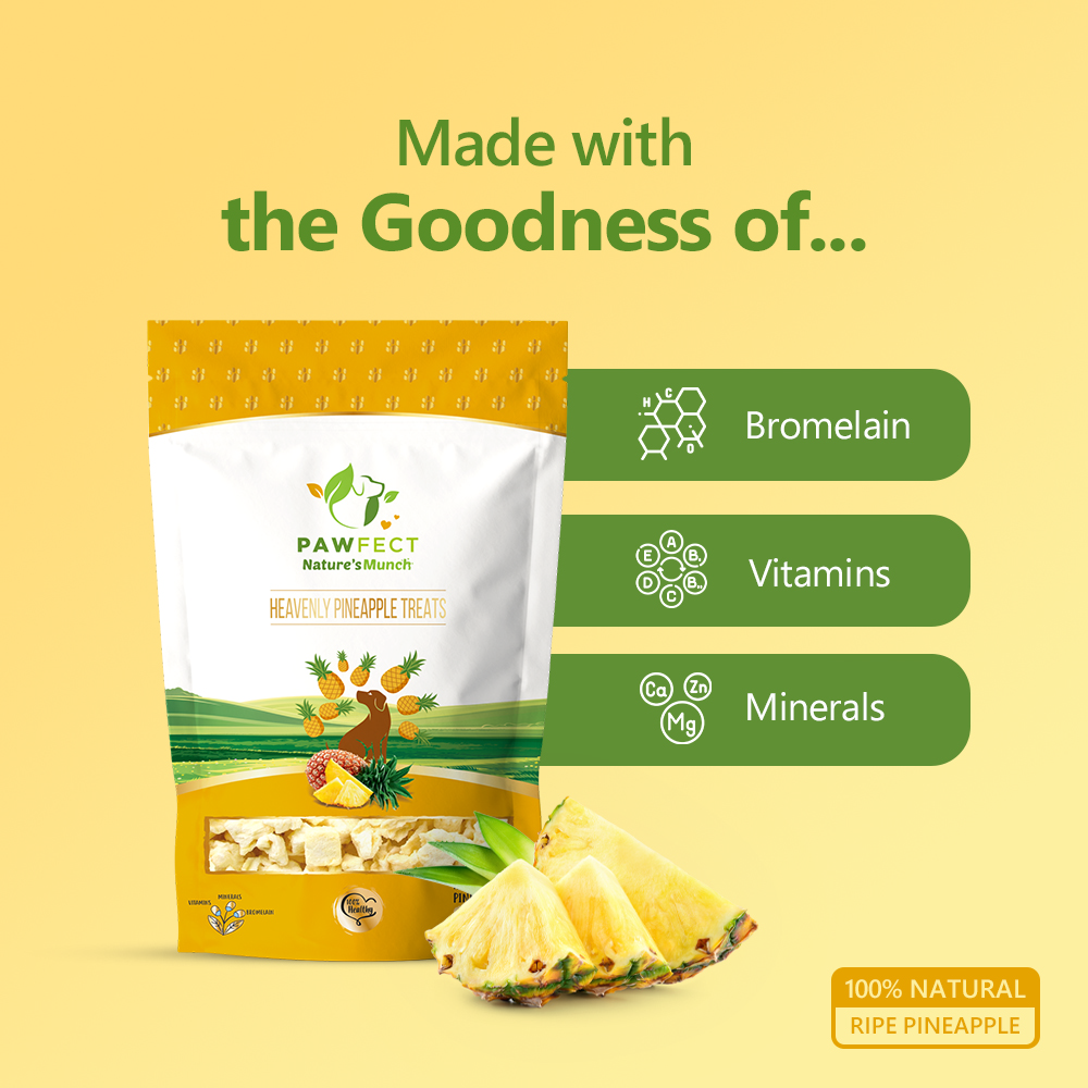 Pawfect Single Ingredient Vegan Treats: Pineapple