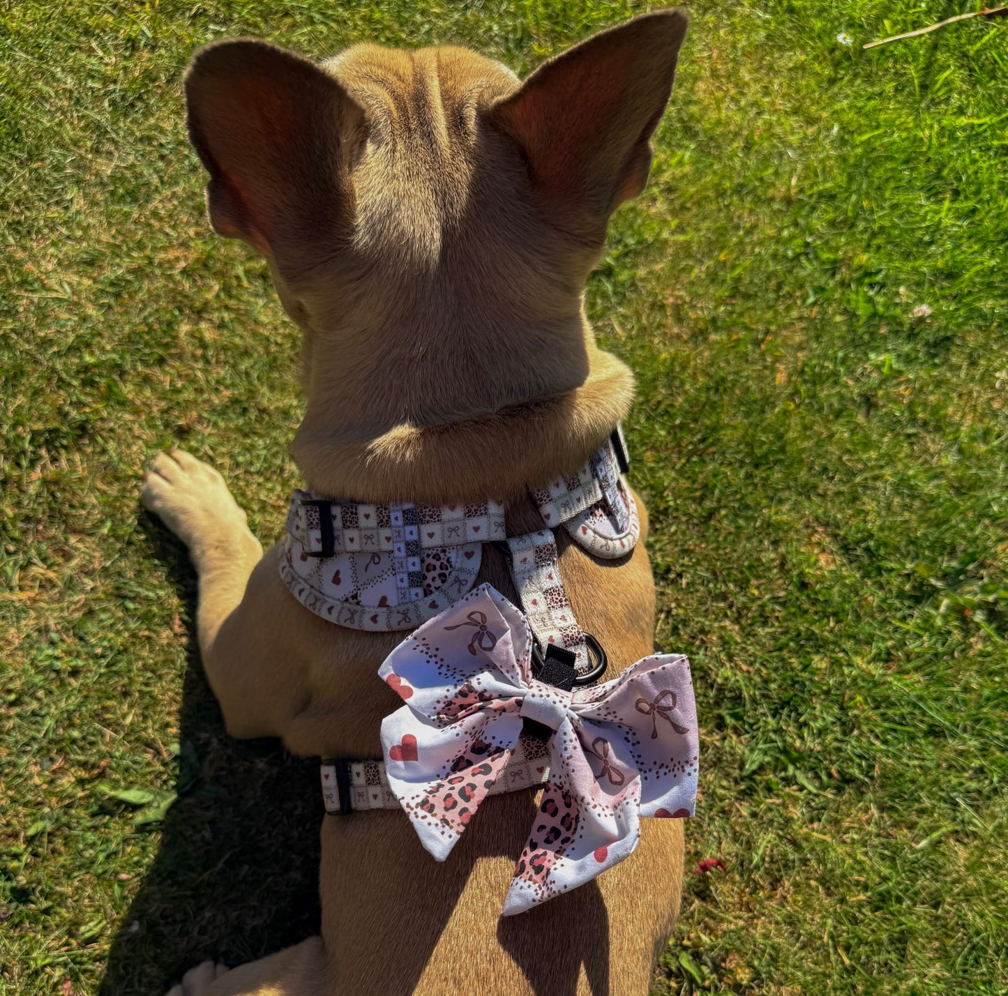 Love Me Wild Adjustable Harness