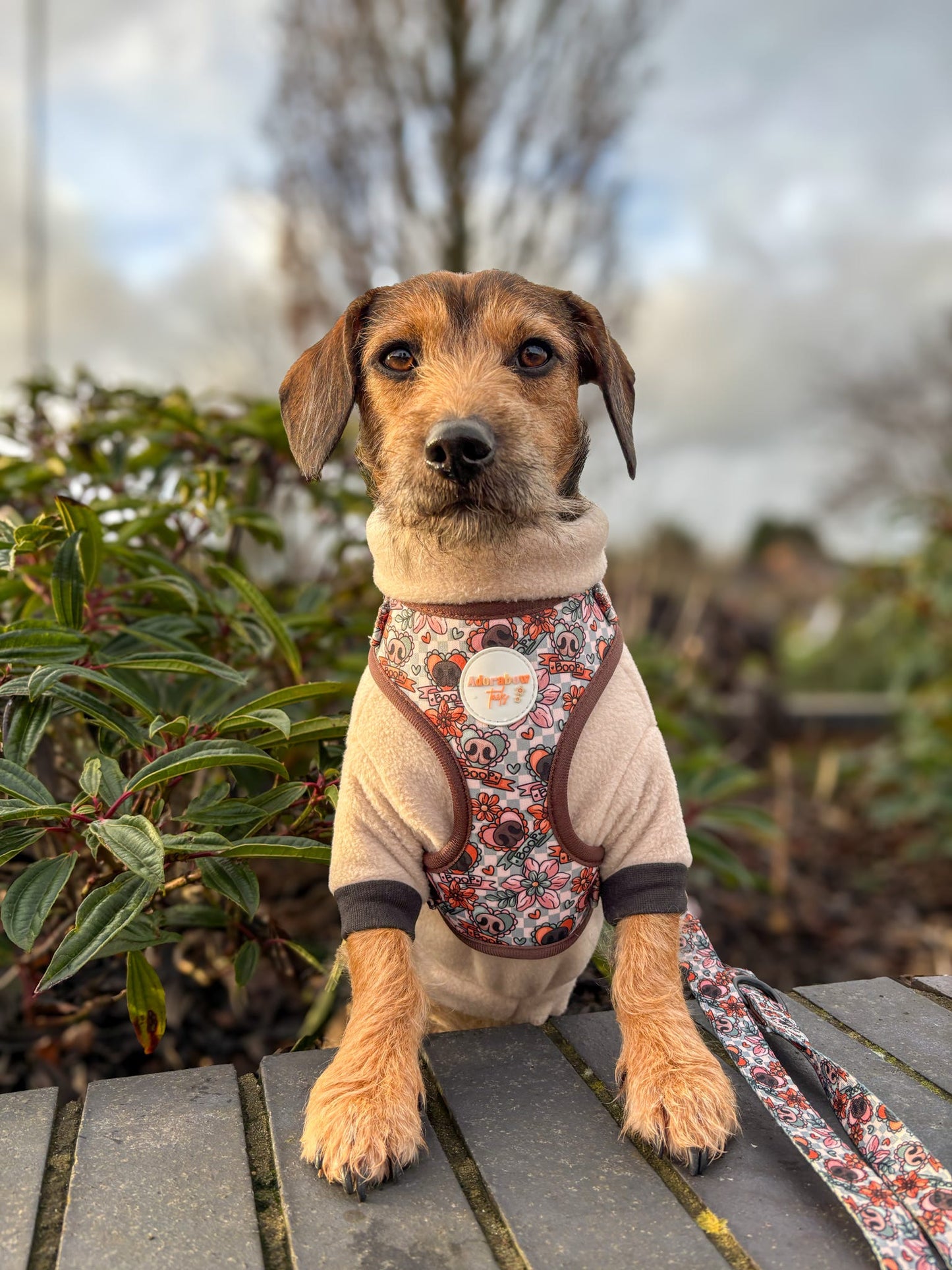 Boops & Blooms Adjustable Harness
