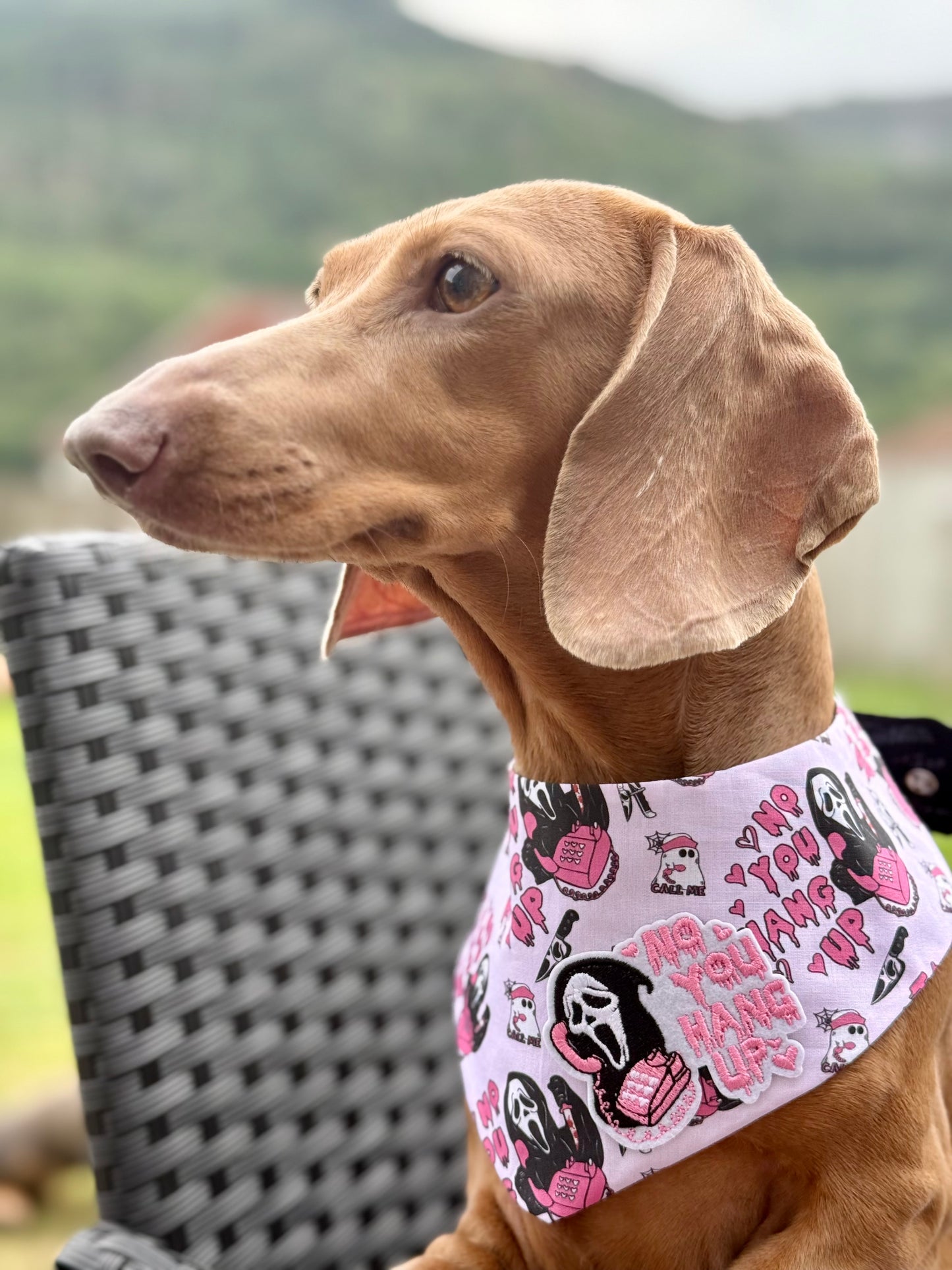 You’ve Been Ghosted NO PATCHES