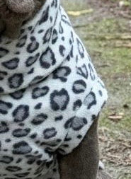 Custom Stretch & Snug Steel Cheetah Fleece