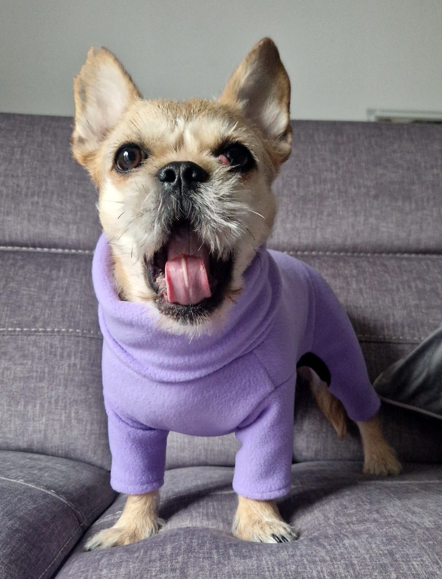 Custom Small Breed Jumpsuit