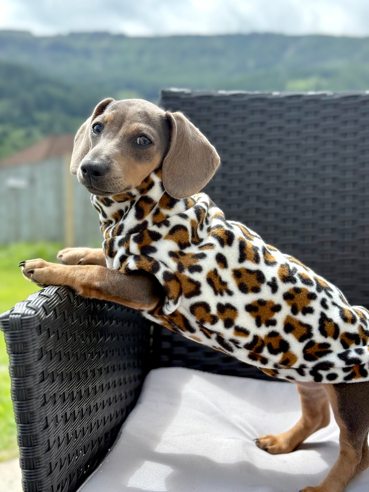 Custom Leopard Small Breed Fleece