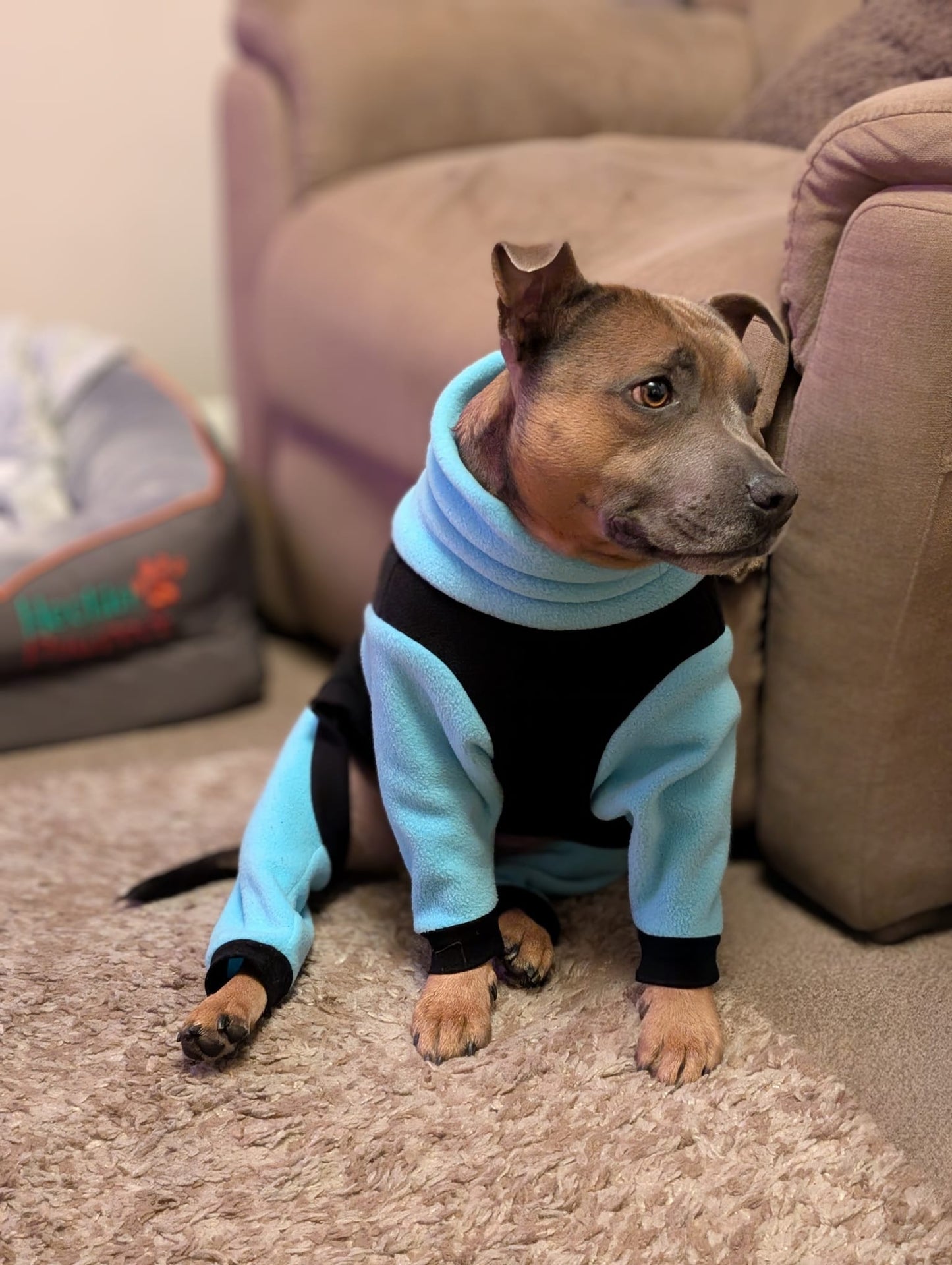 Custom Big Breed Jumpsuit