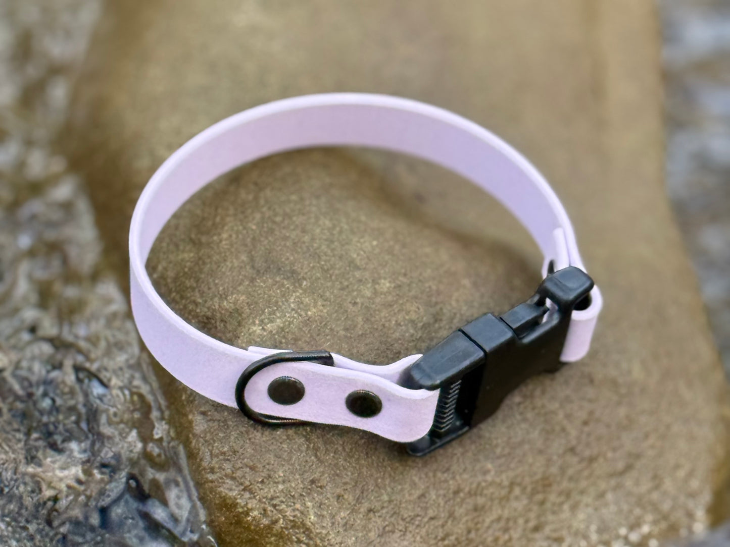 19mm Biothane Collar (Quick Release, Non Adjustable)