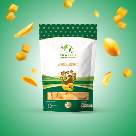 Pawfect Single Ingredient Vegan Treats: Mango