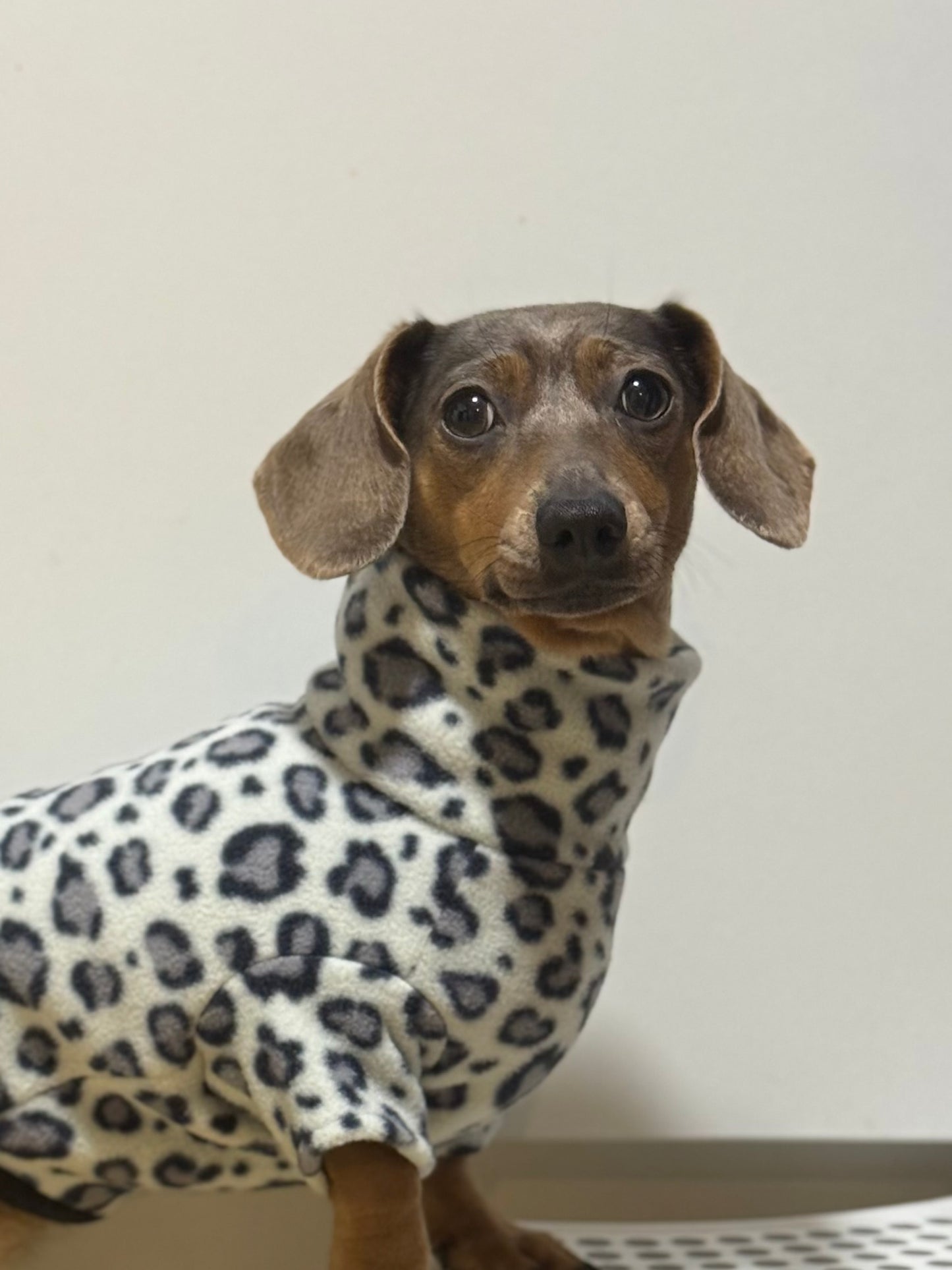 Custom Steel Cheetah Small Breed Fleece