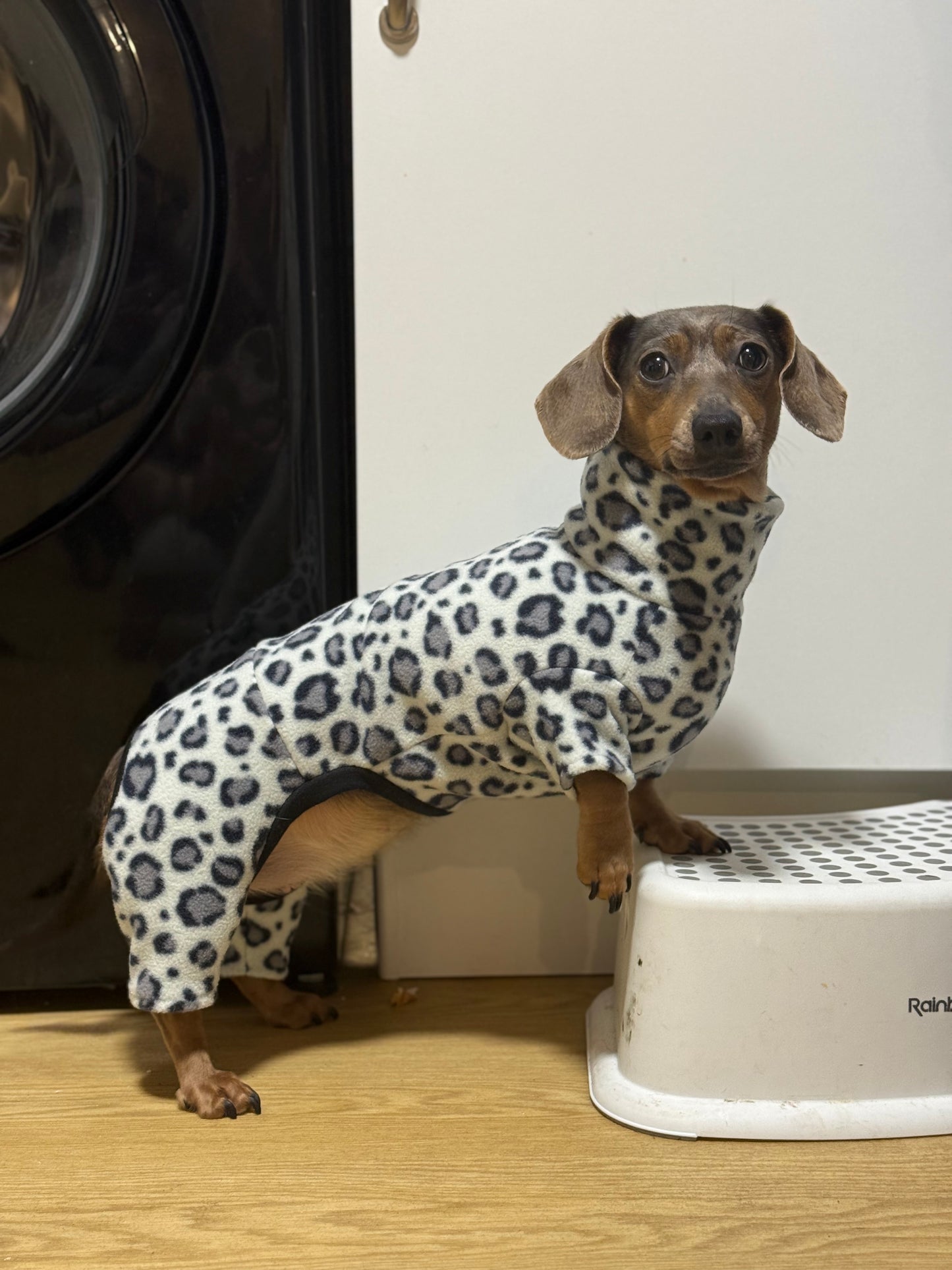 Custom Small Breed Jumpsuit Animal Print