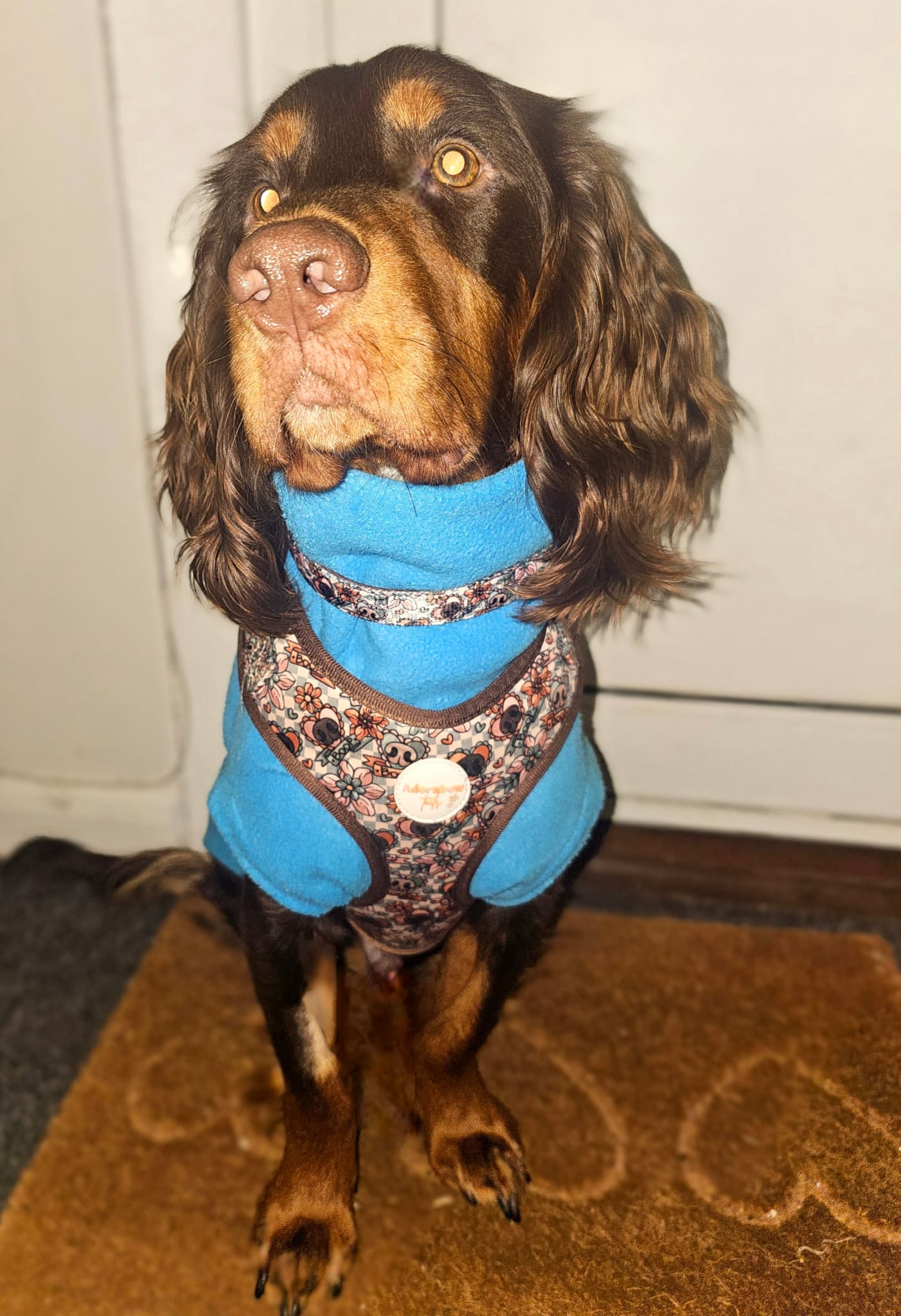 Boops & Blooms Adjustable Harness