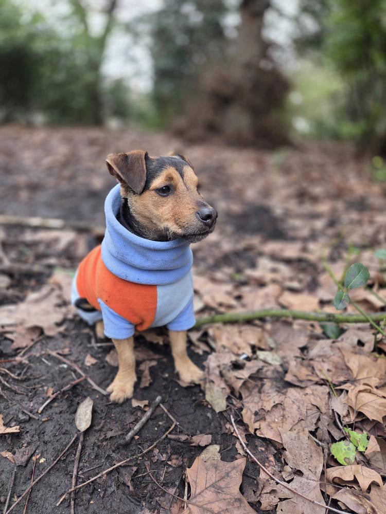 Custom Small Breed Jumpsuit