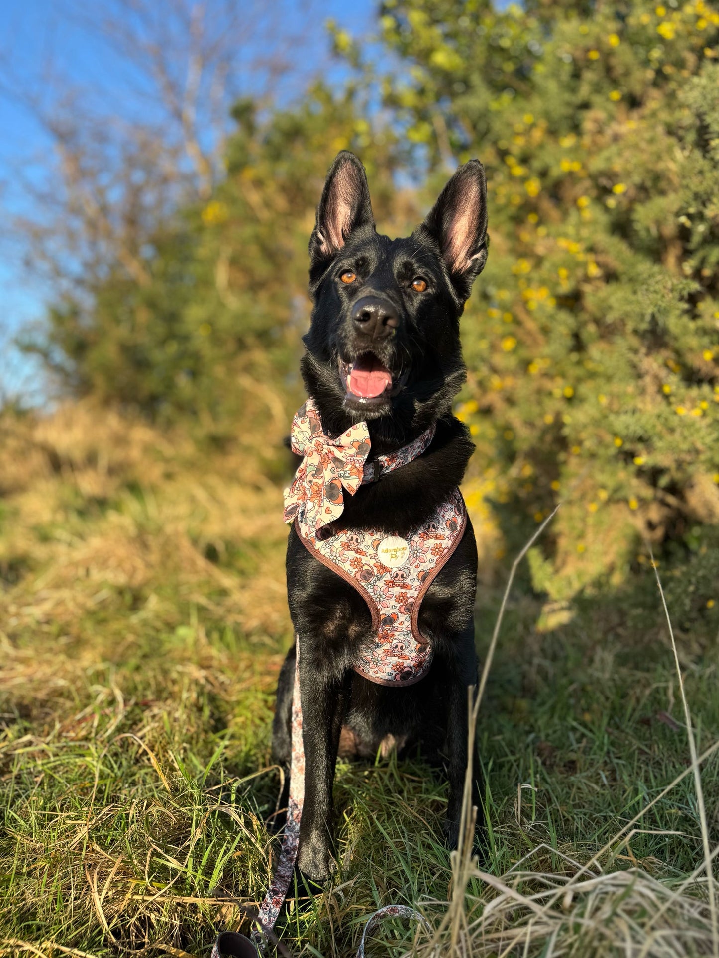 Boops & Blooms Adjustable Harness