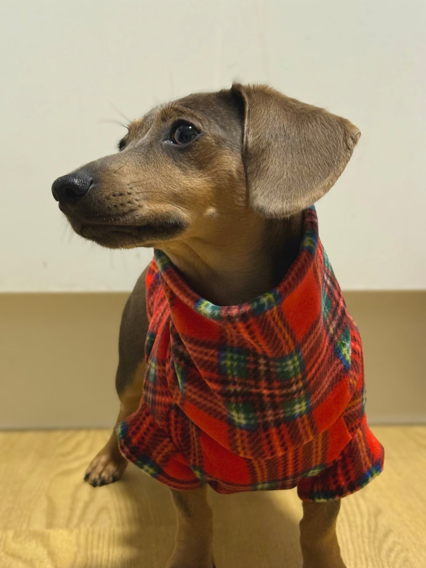 Custom Small Breed Red Tartan Fleece