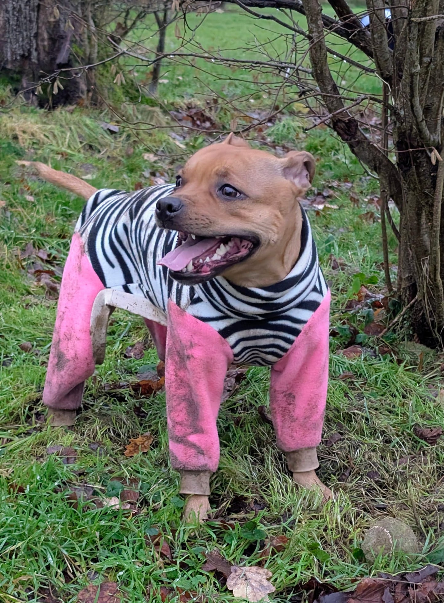 Custom Big Breed Jumpsuit Animal Print