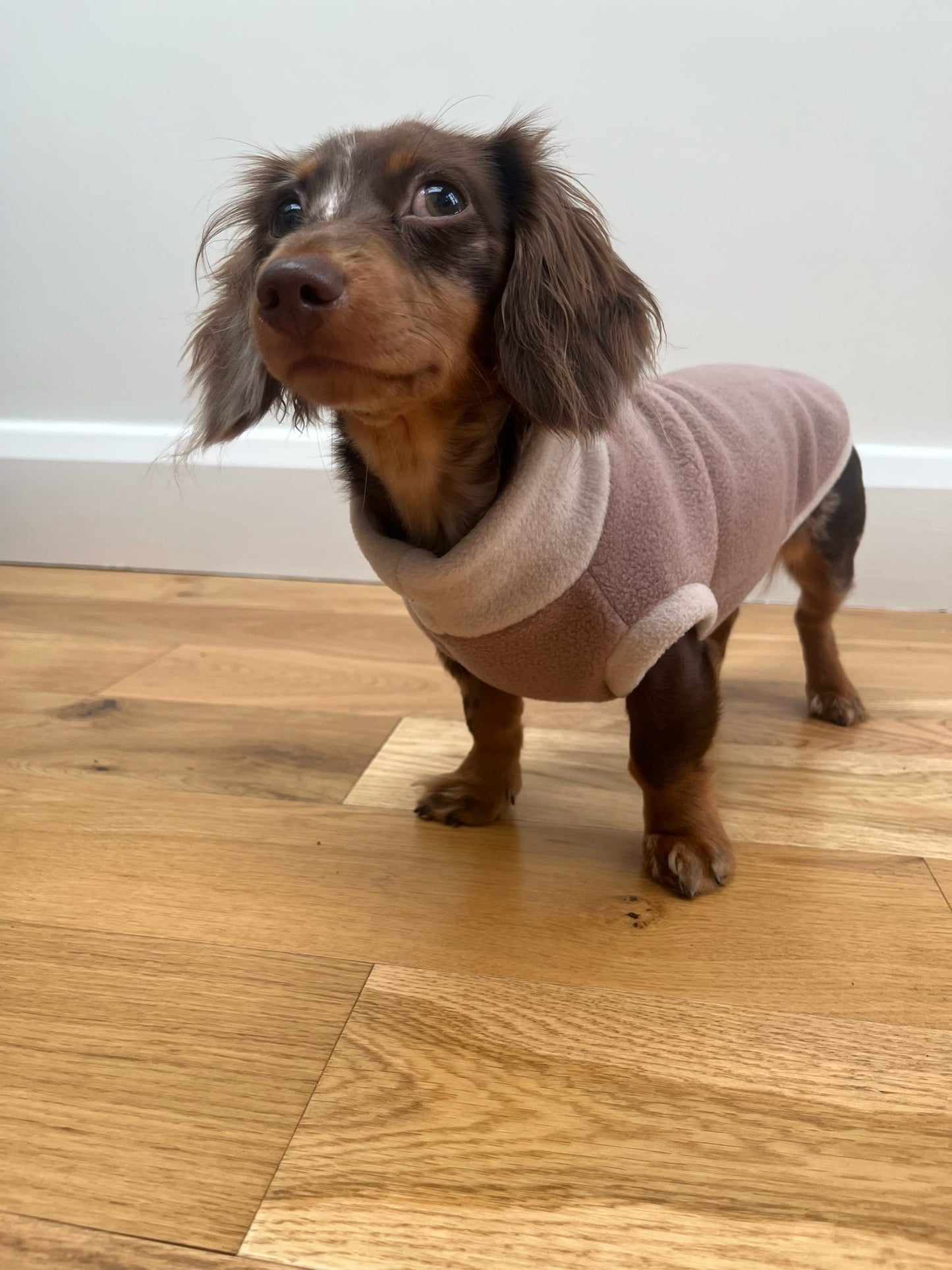 Dachshund/Small Breed Two Tone Crewneck Fleece